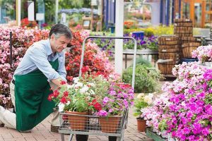 garden-center-worker-400-06802691d-300x200