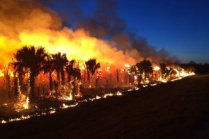 Island wildfire and other natural disasters bring out scam artists to prey on those who want to help